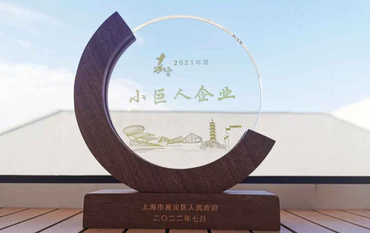 喜報|汩鴻環保獲評嘉定區&ldquo;小巨人企業&rdquo;