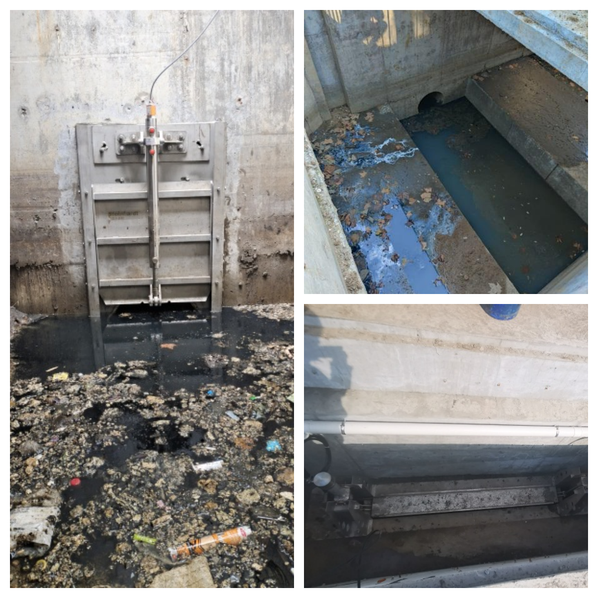 9櫻花園.png 9櫻花園.png